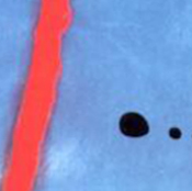LOGO DOMITILLA